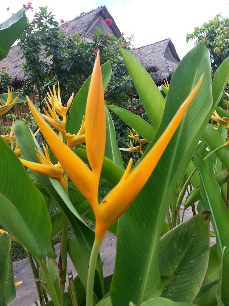 Bird Of Paradise Bungalows Kep Exterior photo
