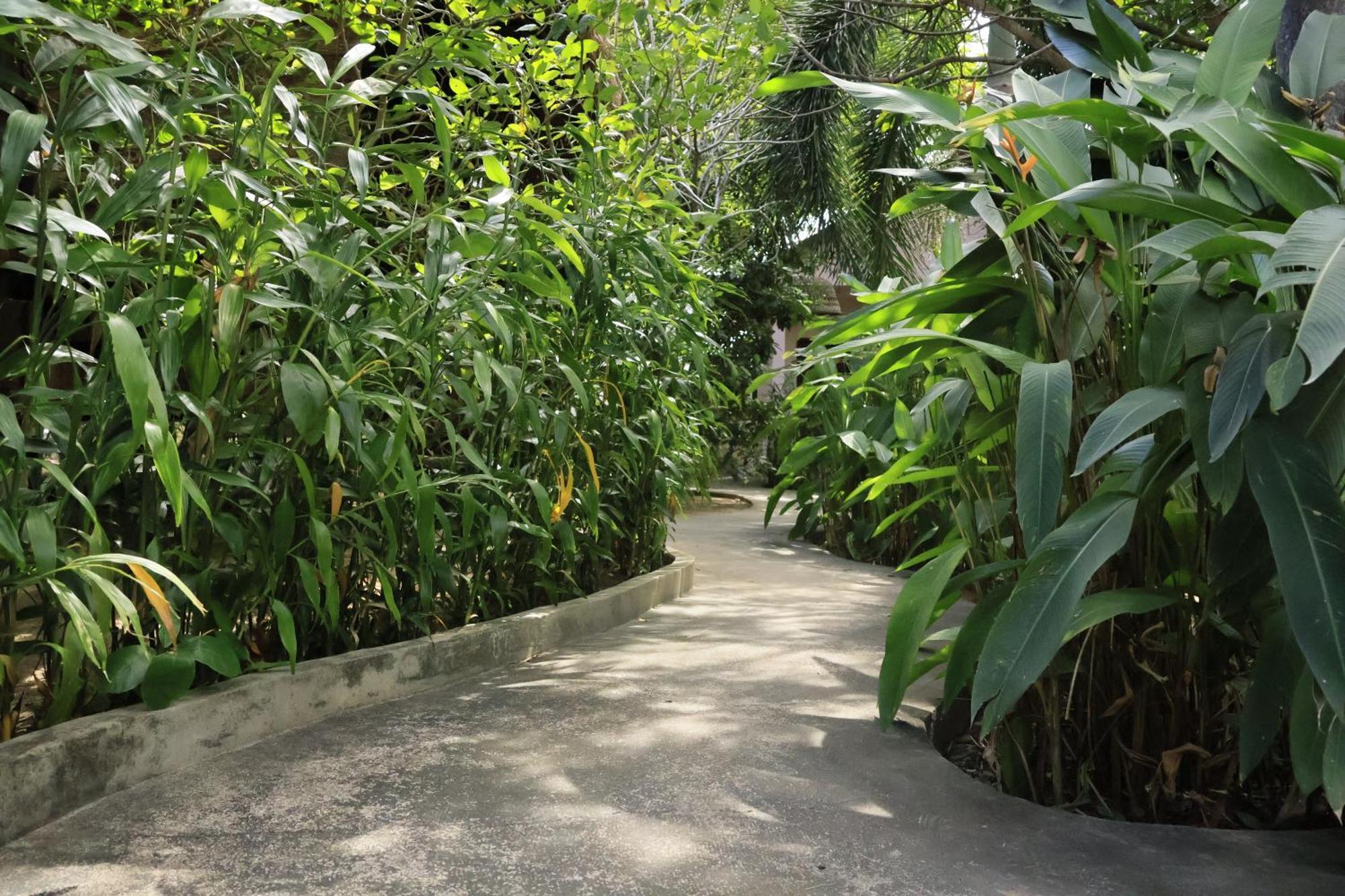 Bird Of Paradise Bungalows Kep Exterior photo